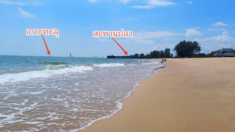 ที่ดิน 22475000 ประจวบคีรีขันธ์ บางสะพานน้อย บางสะพาน ที่ดิน 22475000 ประจวบคีรีขันธ์ บางสะพานน้อย บางสะพาน