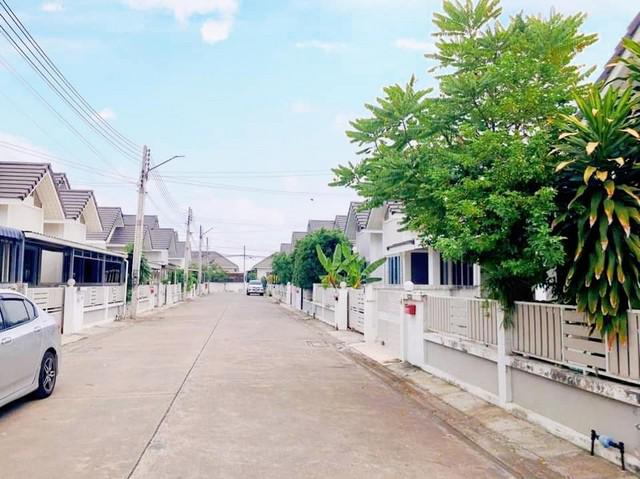 บ้านเดี่ยว 2 ชลบุรี พานทอง หนองตำลึง บ้านเดี่ยว 2 ชลบุรี พานทอง หนองตำลึง