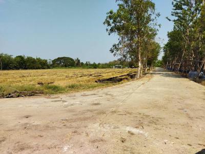 ที่ดิน 25000000 ปทุมธานี หนองเสือ บึงบอน