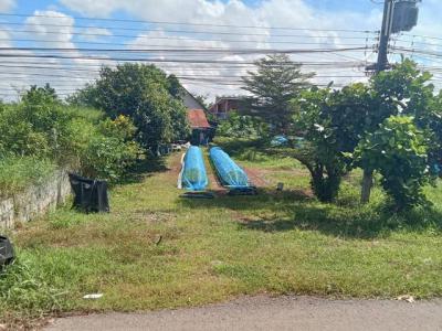 ที่ดิน 4000000 หนองคาย ท่าบ่อ โพนสา
