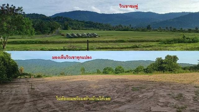 ที่ดิน 1700000 ชลบุรี ศรีราชา เขาคันทรง ที่ดิน 1700000 ชลบุรี ศรีราชา เขาคันทรง