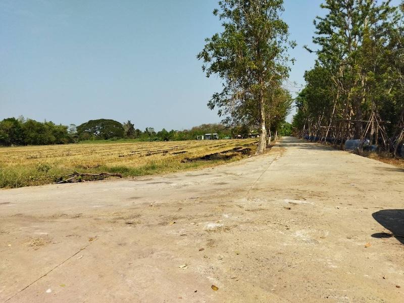 ที่ดิน 2500000 ปทุมธานี หนองเสือ บึงบอน ที่ดิน 2500000 ปทุมธานี หนองเสือ บึงบอน