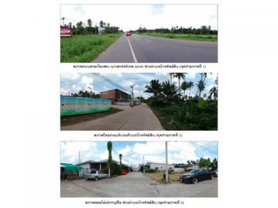 บ้านเดี่ยว 1400000 สุราษฎร์ธานี เมืองสุราษฎร์ธานี วัดประดู่
