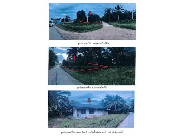 บ้านเดี่ยว 1250000 สุราษฎร์ธานี ท่าชนะ ประสงค์