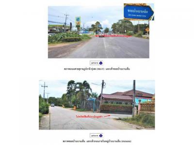 บ้านเดี่ยว 2000000 สุราษฎร์ธานี พุนพิน หัวเตย