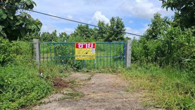 ที่ดิน 2800000 มหาสารคาม โกสุมพิสัย หนองบัว