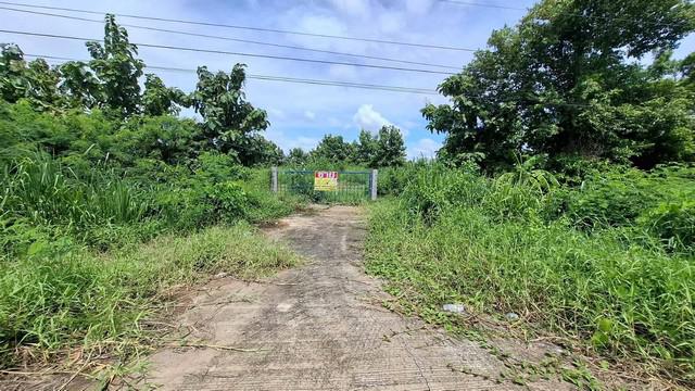 ที่ดิน 2800000 มหาสารคาม โกสุมพิสัย หนองบัว ที่ดิน 2800000 มหาสารคาม โกสุมพิสัย หนองบัว