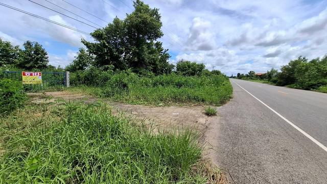 ที่ดิน 2800000 มหาสารคาม โกสุมพิสัย หนองบัว ที่ดิน 2800000 มหาสารคาม โกสุมพิสัย หนองบัว