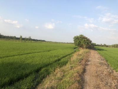 ที่ดิน 800000 ปทุมธานี ลาดหลุมแก้ว บ่อเงิน