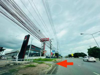 ที่ดิน 12000000 ปทุมธานี ธัญบุรี บึงสนั่น