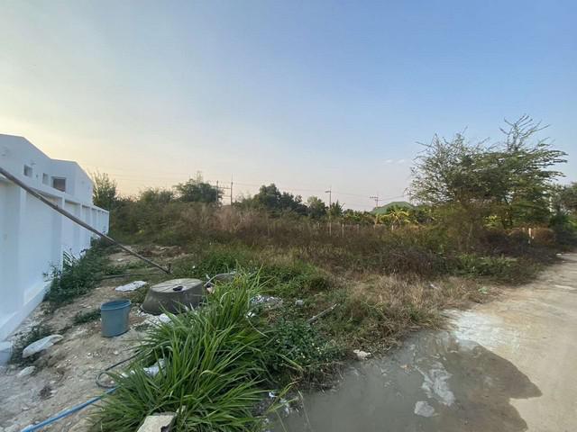ที่ดิน 728000 เชียงใหม่ สันทราย หนองแหย่ง ที่ดิน 728000 เชียงใหม่ สันทราย หนองแหย่ง