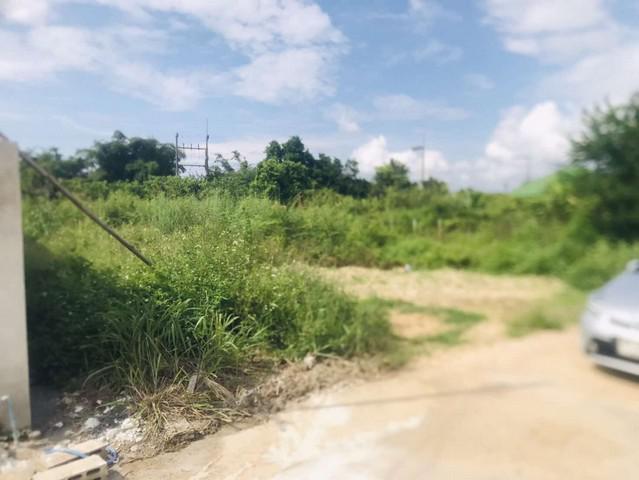 ที่ดิน 728000 เชียงใหม่ สันทราย หนองแหย่ง ที่ดิน 728000 เชียงใหม่ สันทราย หนองแหย่ง