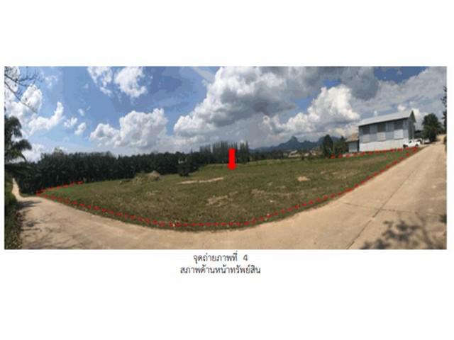ที่ดิน 4300000 สุราษฎร์ธานี พนม ต้นยวน ที่ดิน 4300000 สุราษฎร์ธานี พนม ต้นยวน