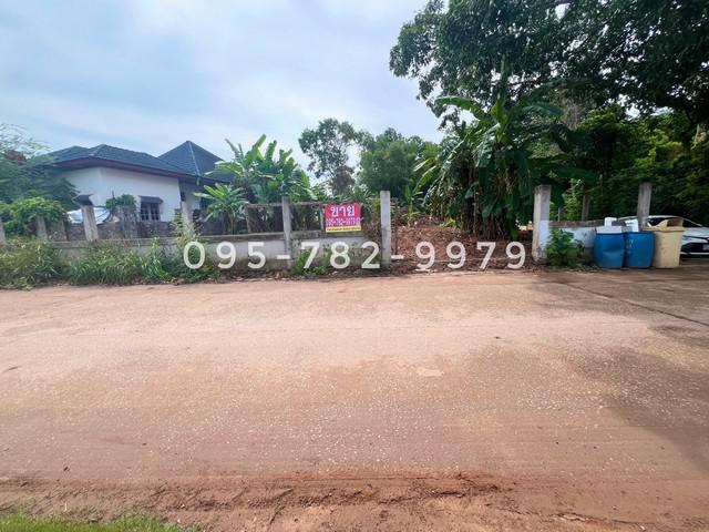 ที่ดิน 3100000 ระยอง แกลง กร่ำ ที่ดิน 3100000 ระยอง แกลง กร่ำ