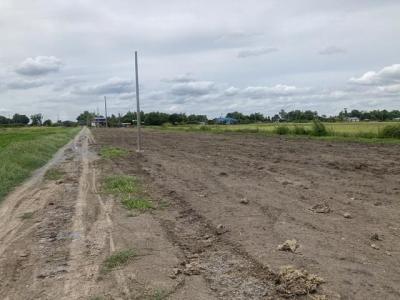 ที่ดิน 750000 นครปฐม บางเลน นิลเพชร
