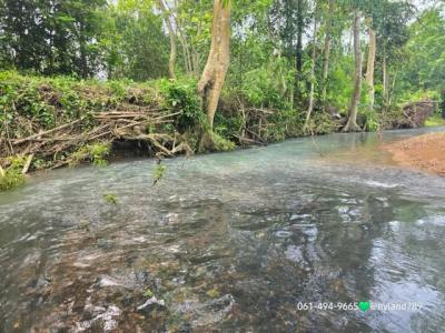 ที่ดิน 1900000 นครนายก ปากพลี นาหินลาด