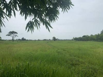 ที่ดิน 600000 อุดรธานี หนองหาน สร้อยพร้าว