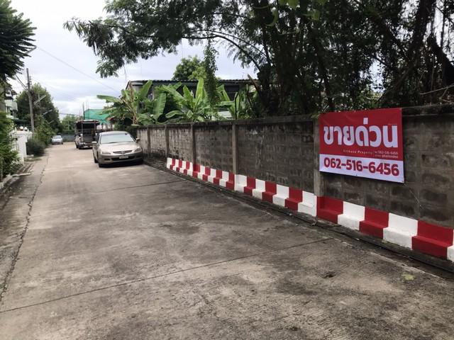 ที่ดิน 80000 กรุงเทพมหานคร เขตประเวศ ประเวศ ที่ดิน 80000 กรุงเทพมหานคร เขตประเวศ ประเวศ