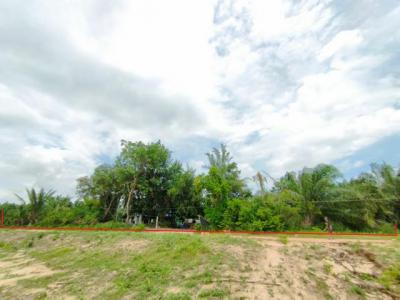 ที่ดิน 48166250 ชลบุรี บ้านบึง หนองอิรุณ