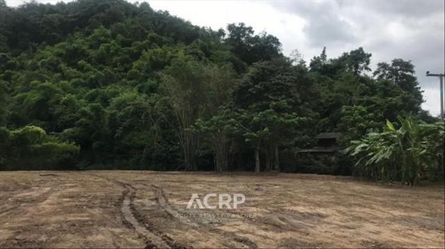 ที่ดิน 25000000 เชียงใหม่ หางดง บ้านปง ที่ดิน 25000000 เชียงใหม่ หางดง บ้านปง