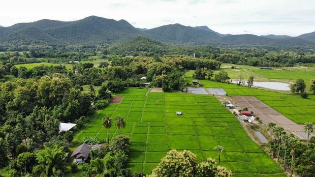 ที่ดิน 4929000 เชียงใหม่ กิ่งอำเภอแม่ออน ออนกลาง ที่ดิน 4929000 เชียงใหม่ กิ่งอำเภอแม่ออน ออนกลาง