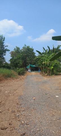 ที่ดิน 1250000 ปทุมธานี คลองหลวง คลองหก