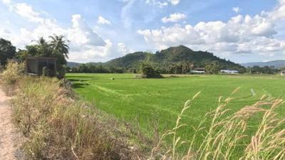 ที่ดิน 650000 นครนายก เมืองนครนายก เขาพระ