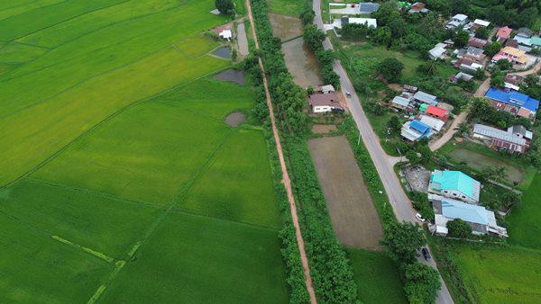 ที่ดิน 1250000 ชัยภูมิ เกษตรสมบูรณ์ กุดเลาะ ที่ดิน 1250000 ชัยภูมิ เกษตรสมบูรณ์ กุดเลาะ
