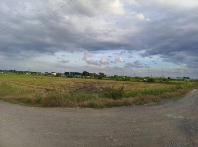ที่ดิน 100000 นครปฐม พุทธมณฑล ศาลายา