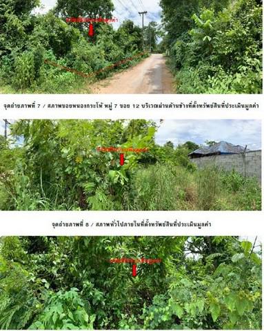 ที่ดิน 605000 ตาก เมืองตาก ไม้งาม ที่ดิน 605000 ตาก เมืองตาก ไม้งาม