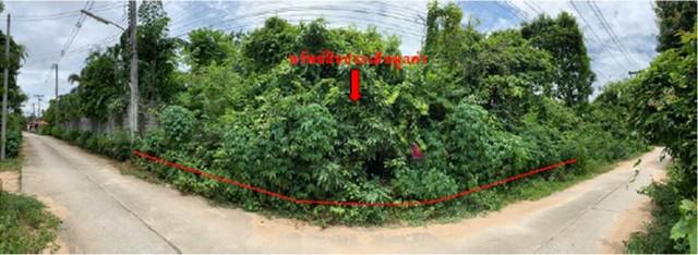 ที่ดิน 615000 ตาก เมืองตาก ไม้งาม ที่ดิน 615000 ตาก เมืองตาก ไม้งาม