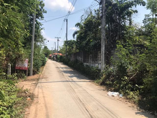 ที่ดิน 615000 ตาก เมืองตาก ไม้งาม ที่ดิน 615000 ตาก เมืองตาก ไม้งาม