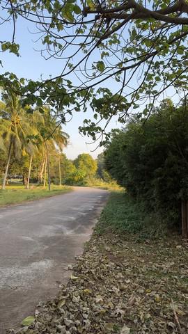 ที่ดิน 3500000 ประจวบคีรีขันธ์ บางสะพานน้อย ทรายทอง ที่ดิน 3500000 ประจวบคีรีขันธ์ บางสะพานน้อย ทรายทอง