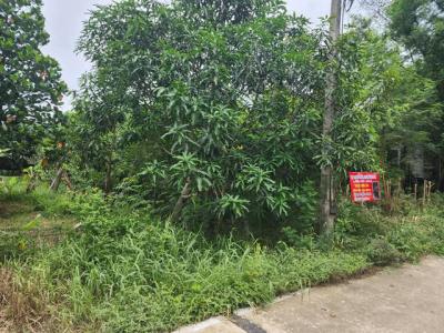 ที่ดิน 1300000 ปทุมธานี คลองหลวง คลองสาม