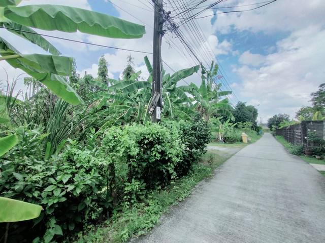 ที่ดิน 8040000 กรุงเทพมหานคร เขตประเวศ ประเวศ ที่ดิน 8040000 กรุงเทพมหานคร เขตประเวศ ประเวศ