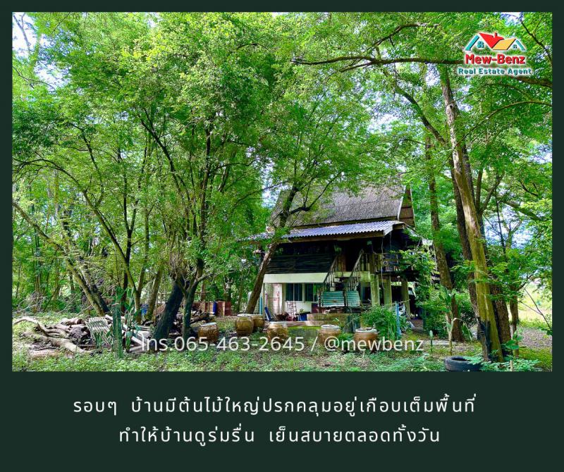 ที่ดิน 7500000 ปราจีนบุรี บ้านสร้าง บางพลวง ที่ดิน 7500000 ปราจีนบุรี บ้านสร้าง บางพลวง