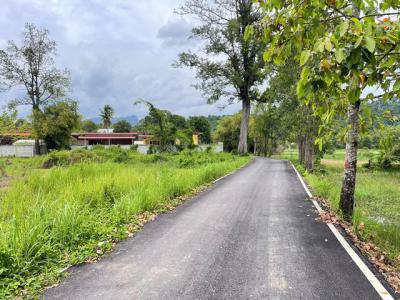 ที่ดิน 22000000 นครนายก เมืองนครนายก หินตั้ง