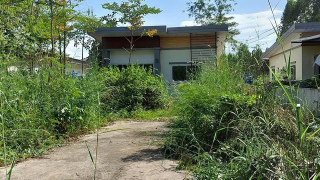บ้านเดี่ยว 1660000 ฉะเชิงเทรา สนามชัยเขต คู้ยายหมี บ้านเดี่ยว 1660000 ฉะเชิงเทรา สนามชัยเขต คู้ยายหมี