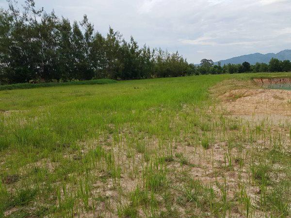 ที่ดิน 400000 นครนายก บ้านนา บ้านพร้าว ที่ดิน 400000 นครนายก บ้านนา บ้านพร้าว