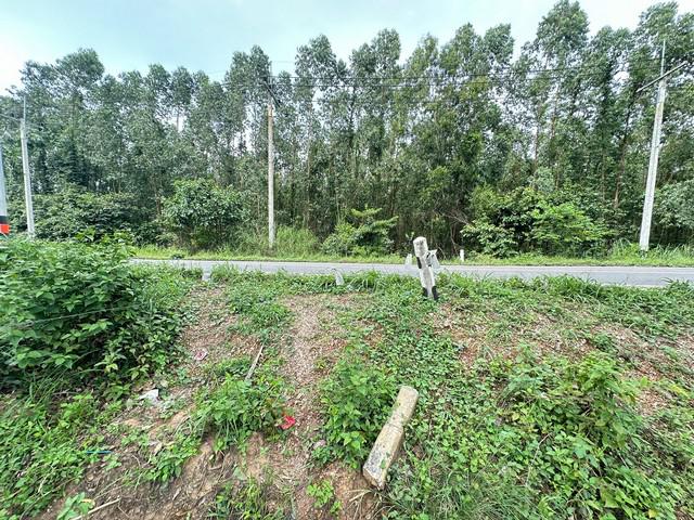 ที่ดิน 2300000 ปราจีนบุรี ศรีมหาโพธิ ศรีมหาโพธิ ที่ดิน 2300000 ปราจีนบุรี ศรีมหาโพธิ ศรีมหาโพธิ