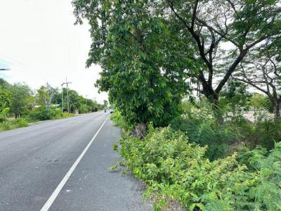 ที่ดิน 5900000 นครนายก บ้านนา บ้านนา
