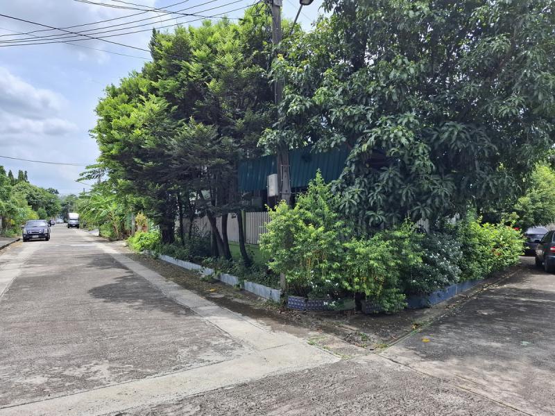 บ้านเดี่ยว 5600000 กรุงเทพมหานคร เขตทวีวัฒนา ศาลาธรรมสพน์ บ้านเดี่ยว 5600000 กรุงเทพมหานคร เขตทวีวัฒนา ศาลาธรรมสพน์