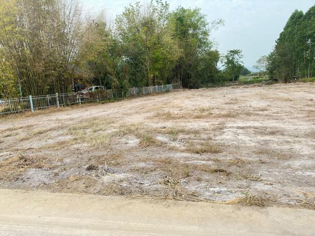 ที่ดิน 1290000 นครนายก เมืองนครนายก สาริกา ที่ดิน 1290000 นครนายก เมืองนครนายก สาริกา
