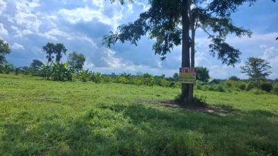 ที่ดิน 2500000 ขอนแก่น เมืองขอนแก่น เมืองเก่า
