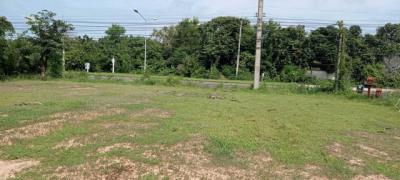 ที่ดิน 9000000 สุรินทร์ เมืองสุรินทร์ เฉนียง