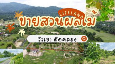 ที่ดิน 3000000 นครนายก บ้านนา ศรีกะอาง