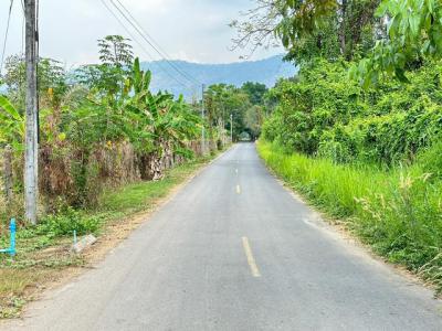 ที่ดิน 6800 นครนายก เมืองนครนายก หินตั้ง