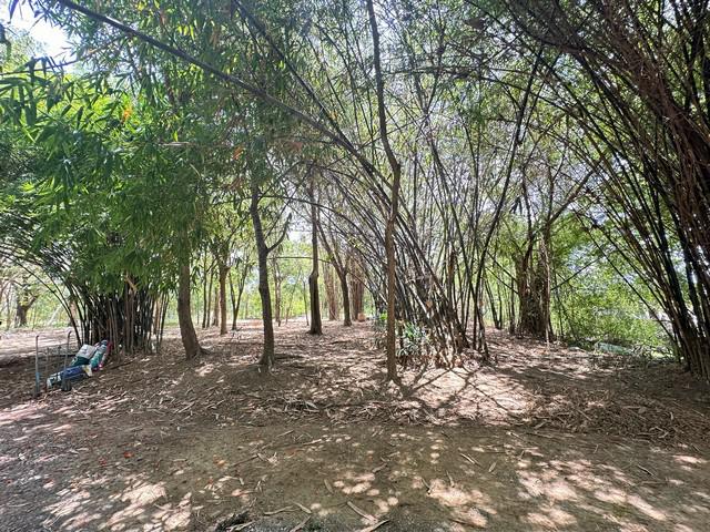 ที่ดิน 3500000 นครปฐม เมืองนครปฐม วังเย็น ที่ดิน 3500000 นครปฐม เมืองนครปฐม วังเย็น