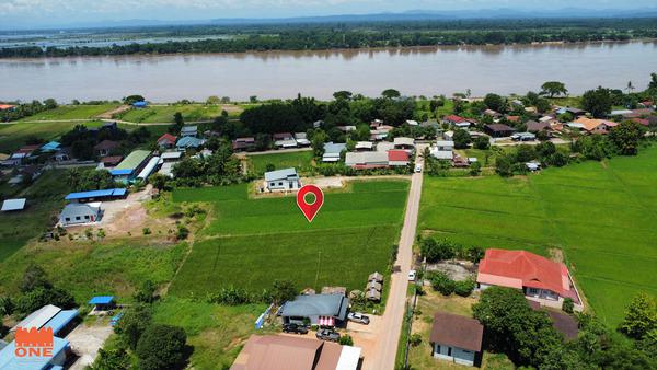 ที่ดิน 2100000 บึงกาฬ ที่ดิน 2100000 บึงกาฬ