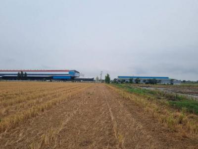 ที่ดิน 3500000 ฉะเชิงเทรา เมืองฉะเชิงเทรา คลองอุดมชลจร